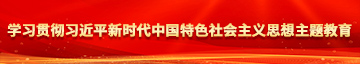 国产操逼视频性感学习贯彻习近平新时代中国特色社会主义思想主题教育